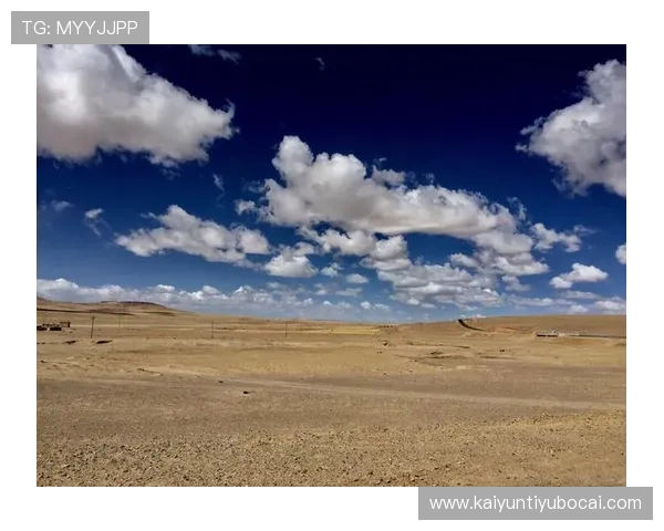 开云体育在线登录在线登录界面优化升级，提升用户体验的最新动态